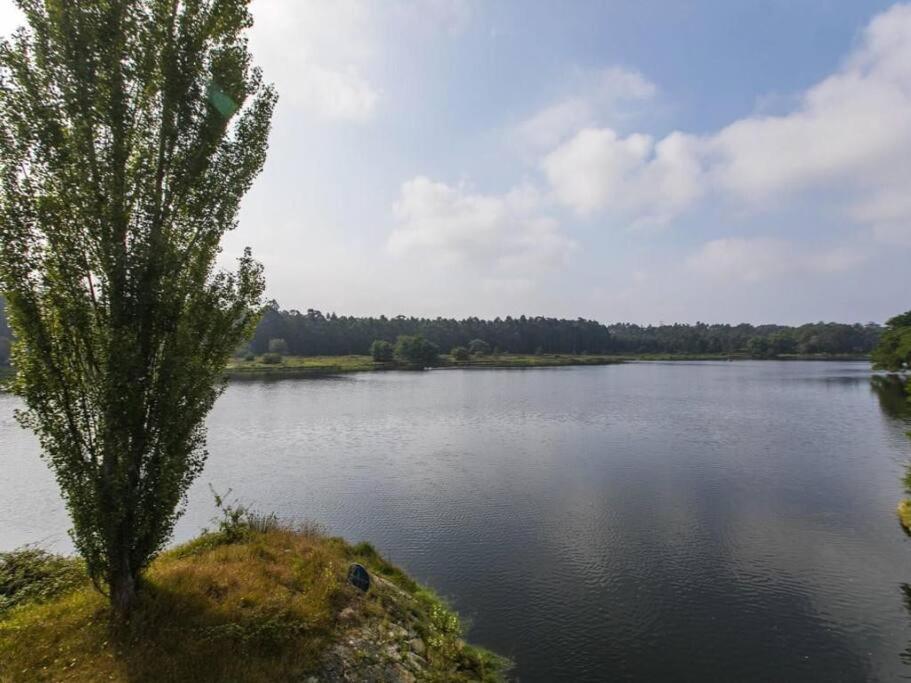 Quinta Da Barca House - Nada Melhor Que Juntar Luxo A Lazer Com Mar E Rio! Esposende Exterior foto